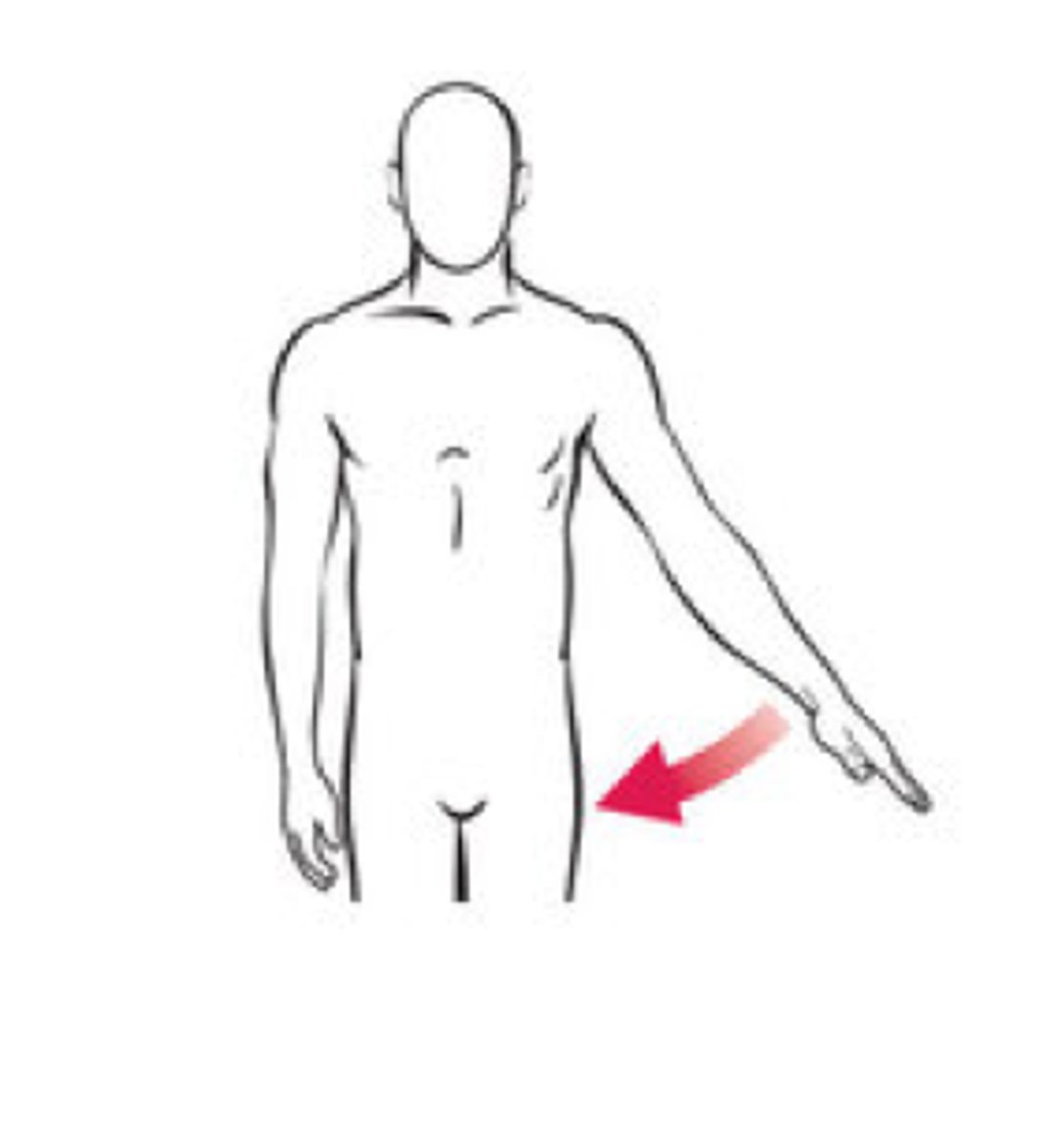 <p>Movement of a part toward the central axis of the body</p>