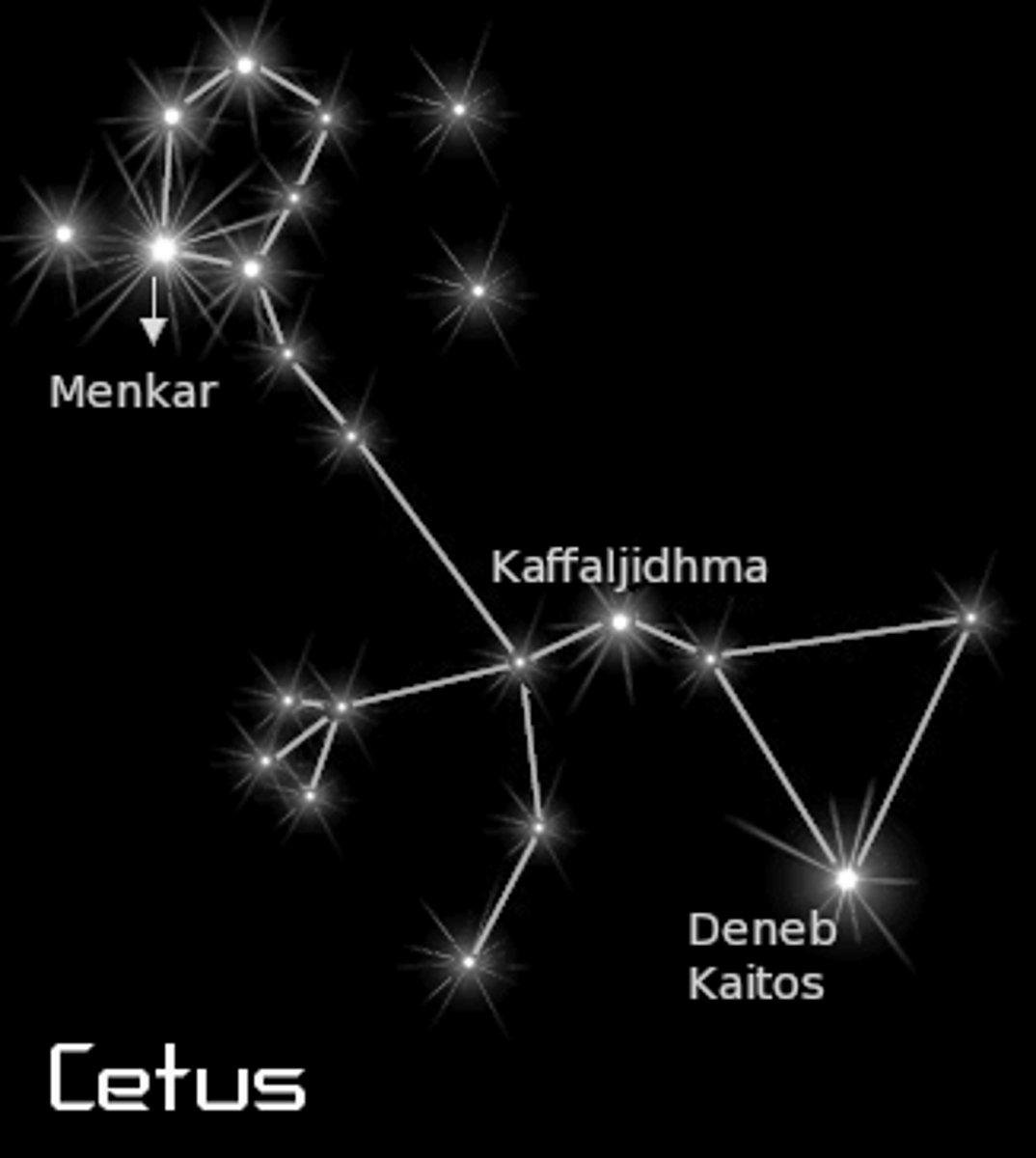 <p>sea monster (whale) / brightest star: Beta Ceti (β Cet)</p>