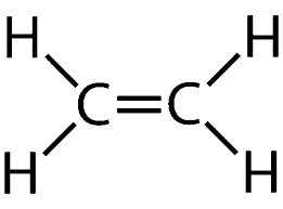 * Double Bond