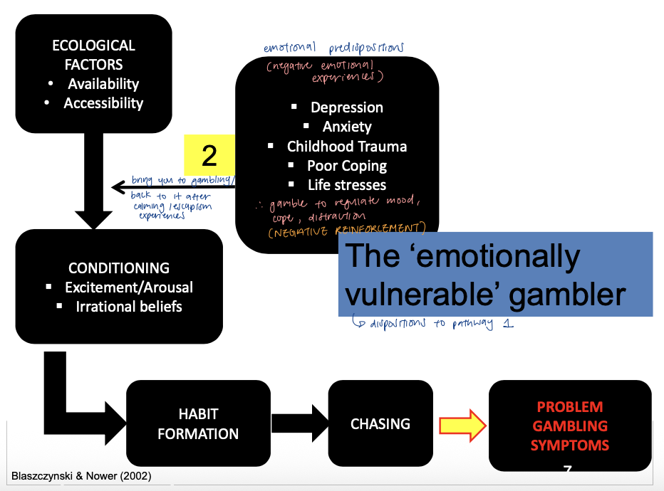 <p>piggyback onto first pathway (dispositions present) </p><ul><li><p>posits an emotional disturbance that predisposes gambling engagement and persistence </p></li></ul><ul><li><p>emotional predispositions (depression, anxiety, childhood trauma, poor coping, life stresses) - negative reinforcement → gamble for first time OR bring you back to gambling → conditioning → habit formation → chasing → PG symptoms </p></li></ul><p></p>