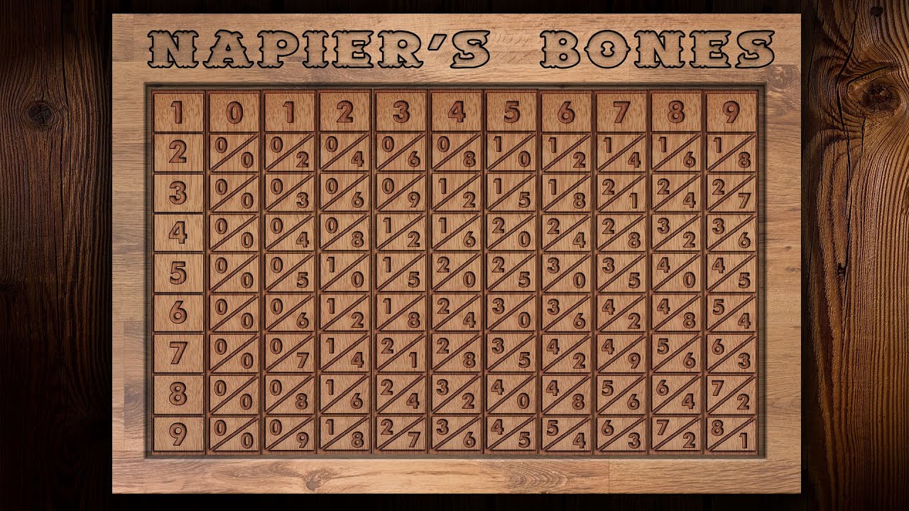 <p>Napier Bones</p>