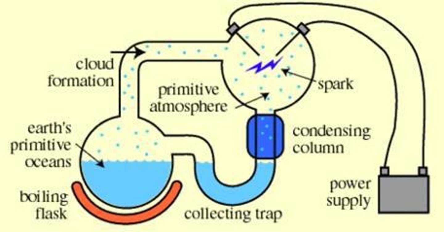 <p>A chemical experiment that simulated early Earth's atmospheric conditions and tested the chemical origin of life under those conditions.</p>