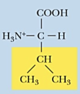 <p>Name (Abbr.) - polarity, a/n/b</p>