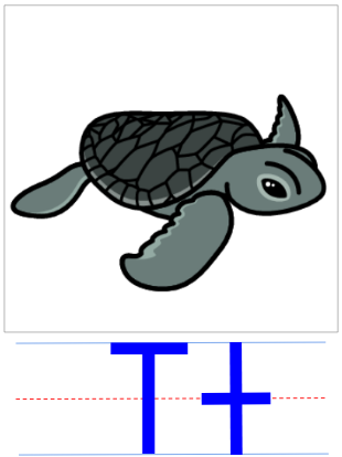term image