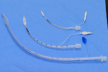 <p>Which of the following common veterinary medical equipment is represented in the picture?</p><p>A. Catheter tubes</p><p>B. Cannulas</p><p>C. IV tubes</p><p>D.Trachea tubes</p>