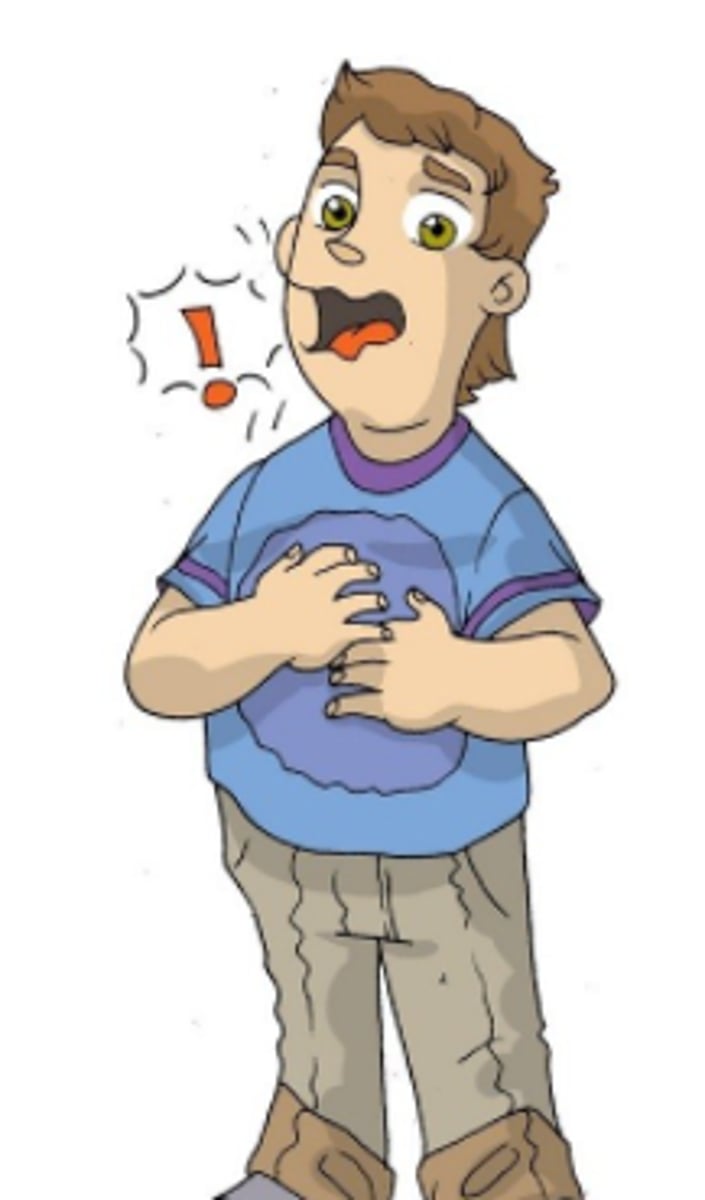 <p>After you drink a glass of beer you _______.</p>