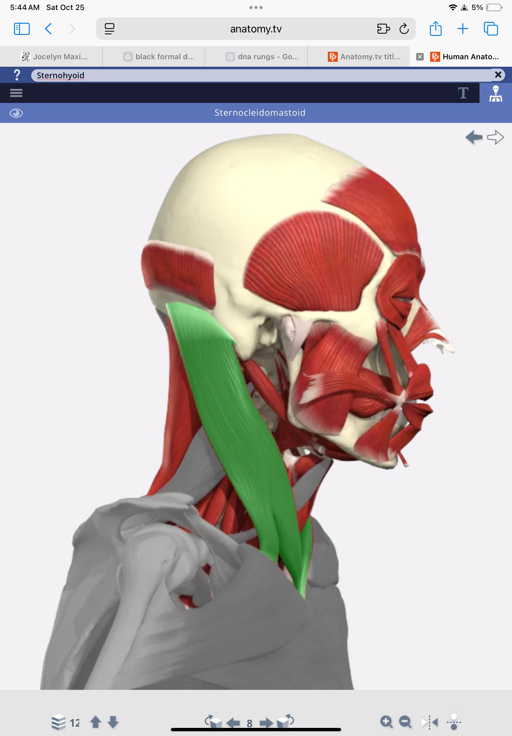 knowt flashcard image