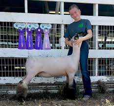 <p><span style="background-color: transparent;"><span>Shropshire</span></span></p>