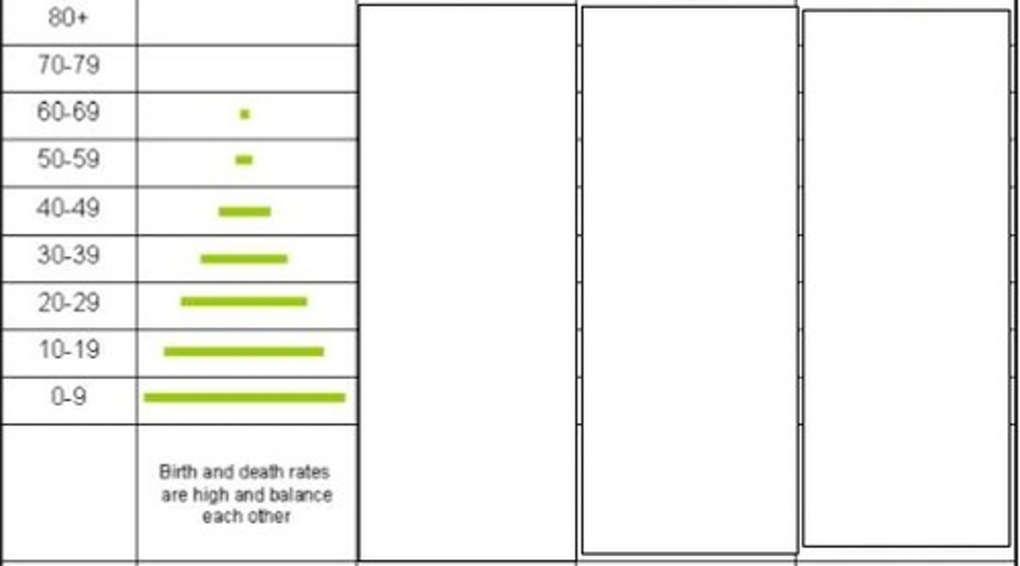 <p>Which stage of the demographic transition model is represented here?</p>