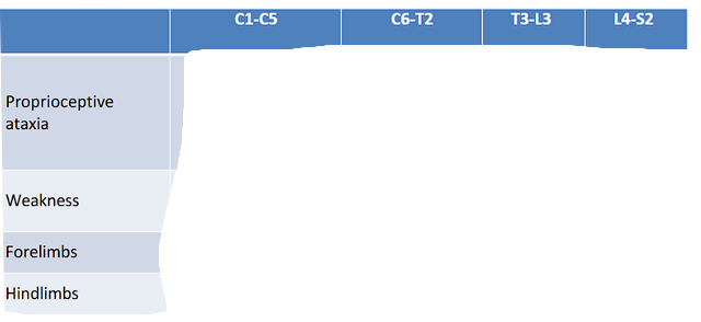 <p>Neuroanatomical Lesion Localisation</p>