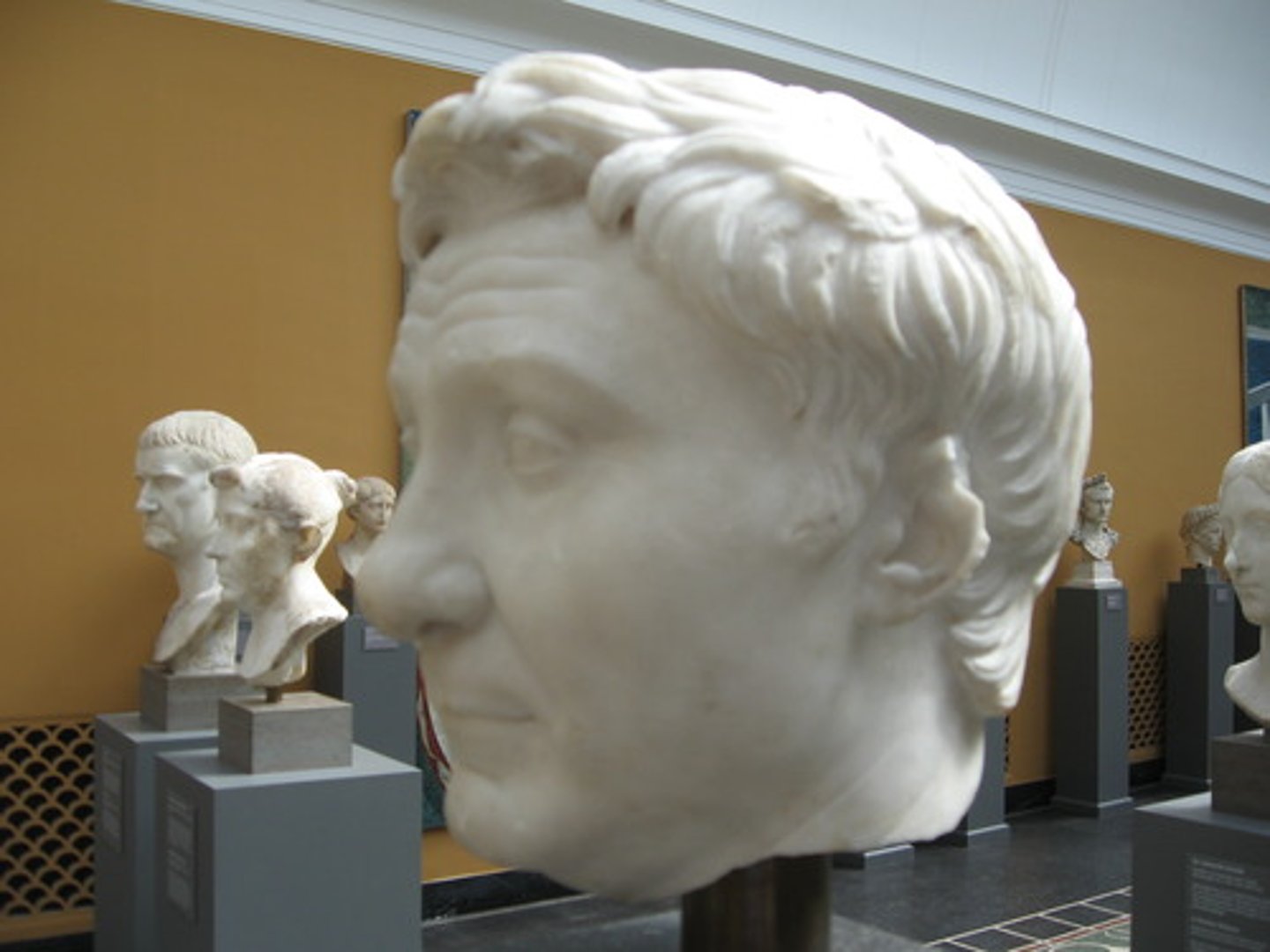 <p>ID in Latin</p>