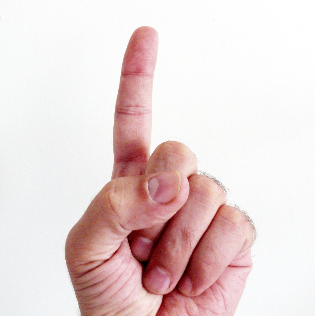 <p>Finger</p>