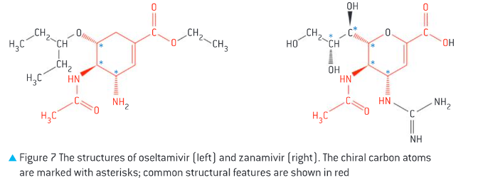 <p><span>o&nbsp;&nbsp; </span>Both have 6 membered ring with 3 chiral carbon atoms but different side groups</p><p>Oseltamivir (Tamiflu) has an ester group, making in inactive, it is hydrolysed into a carboxyl group in the body, producing an active metabolite with enhanced antiviral activity</p><p><span>Zanamivir: already has a carboxyl group so it is active in its original form</span></p>