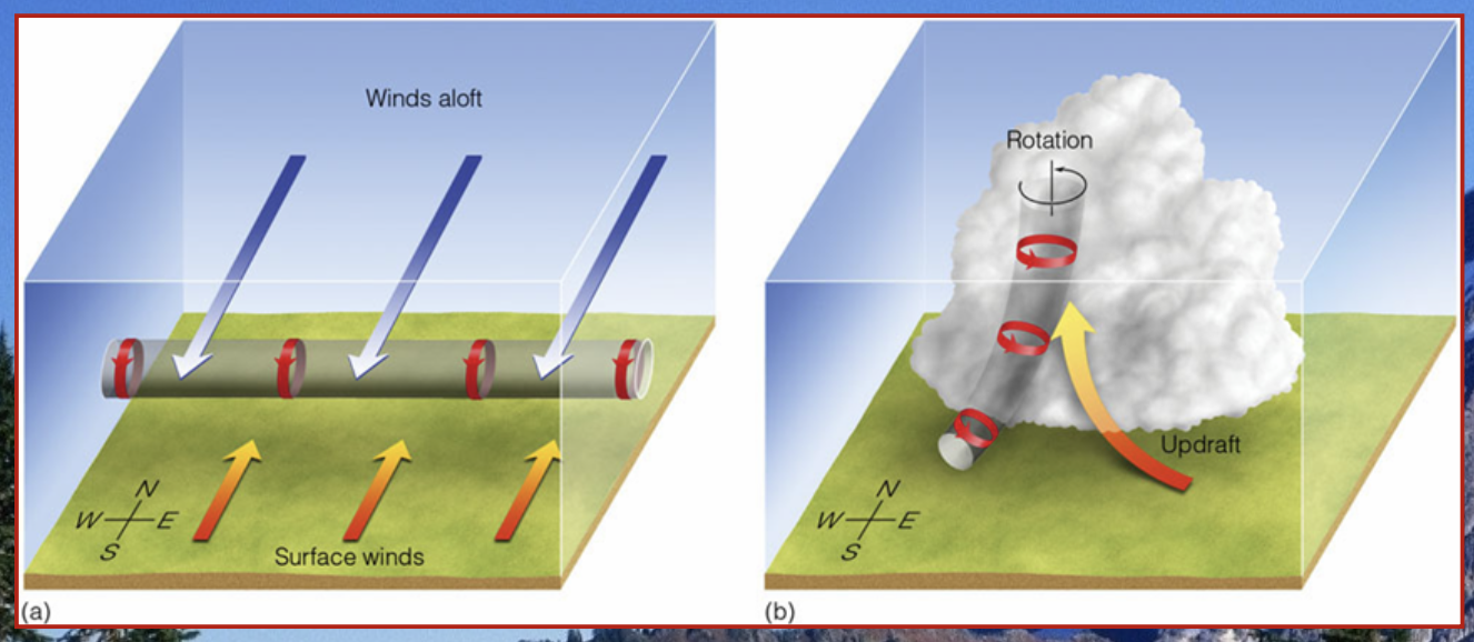 Tornadoes exist in three defined stages:

\
\
__**Organizational Stage**__

* Wind shear causes rotation to develop 
* funnel cloud protrudes from above 
* dust and debris rotate beneath

\
\
__**Mature Stage**__

* most severe damage occurs at this stage

\
__**Rope Stage**__

* the tornado stretches out and weakens 
