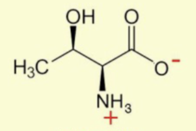 <p>three different groups: NH<sub>3</sub>, OH, CH<sub>3</sub></p>
