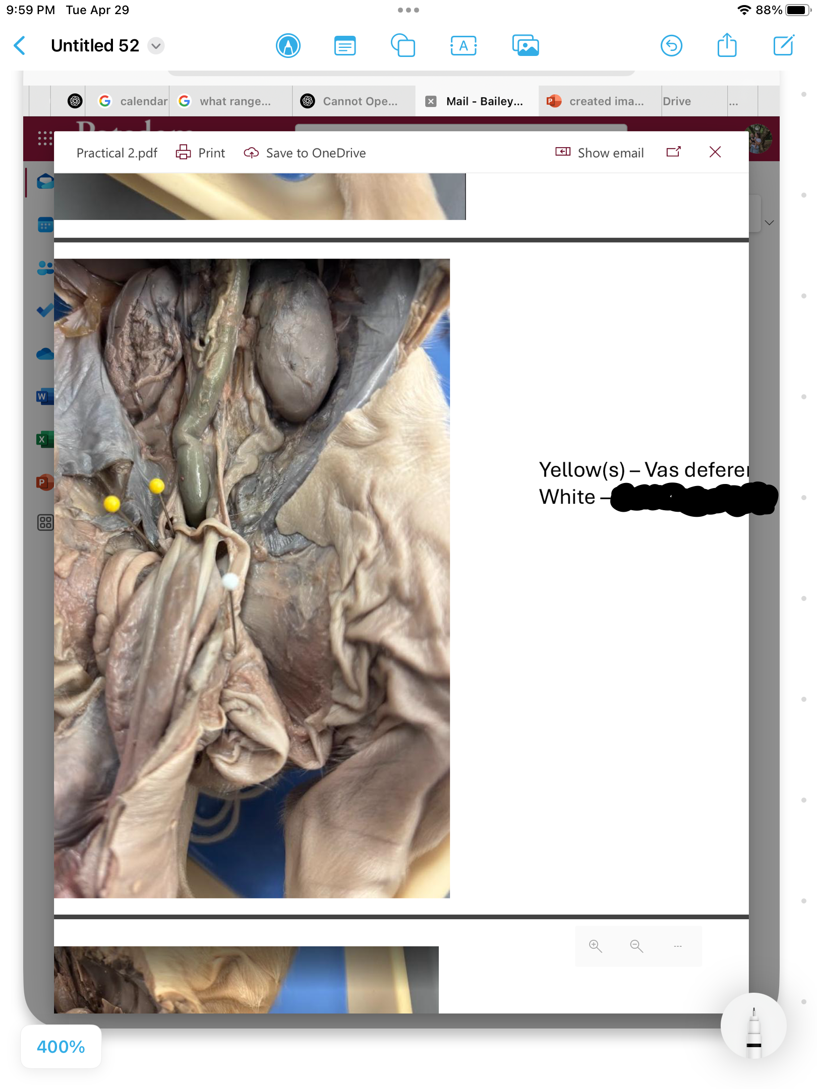 <p>label the area</p>