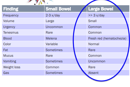 <p><span style="background-color: transparent;"><strong><span>Localizing Diarrhea</span></strong></span></p>