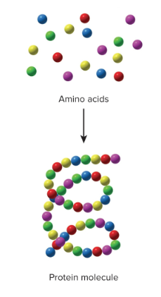 <p>Synthesis reactions</p>