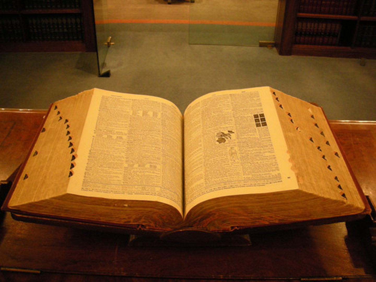 <p>dictionary</p>