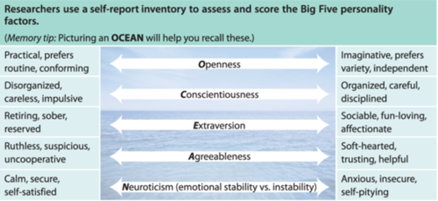 <p>five factors that describe the personality: openness, conscientiousness, extraversion, agreeableness, neuroticism</p>