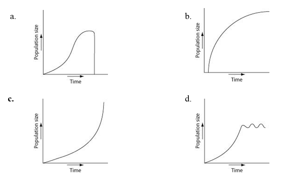 Which of the following graphs (a-d) illustrates the population growth curve starting with a single bacterium growing in a flask of ideal medium at optimum temperature over a two-hour period?  \n *Assume that there are no limiting factors over this time frame.*

A. Option A

B. Option B

C. Option C

D. Option D

E. This is impossible to predict