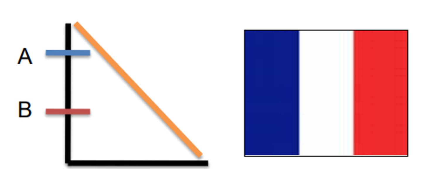 <p>1. Red default. White activated above B (covers red), Blue activated above A covers both Red and White</p><p>2. Blue default, Blue repressed below A and White activated, White repressed below B and Red activated</p>