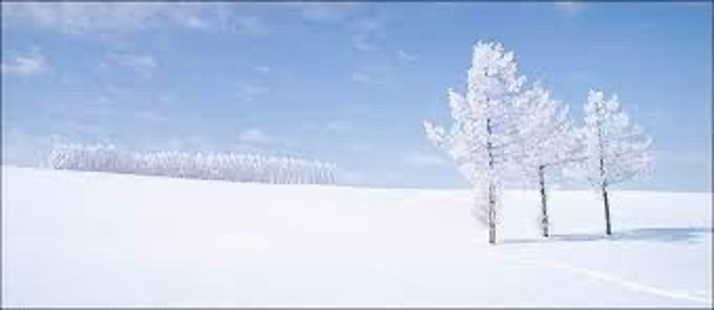 <p>tuyết trắng</p>