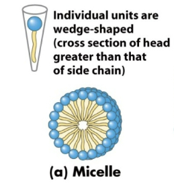 <p>Micelles→ cross section of head is greater than that of side chain</p>