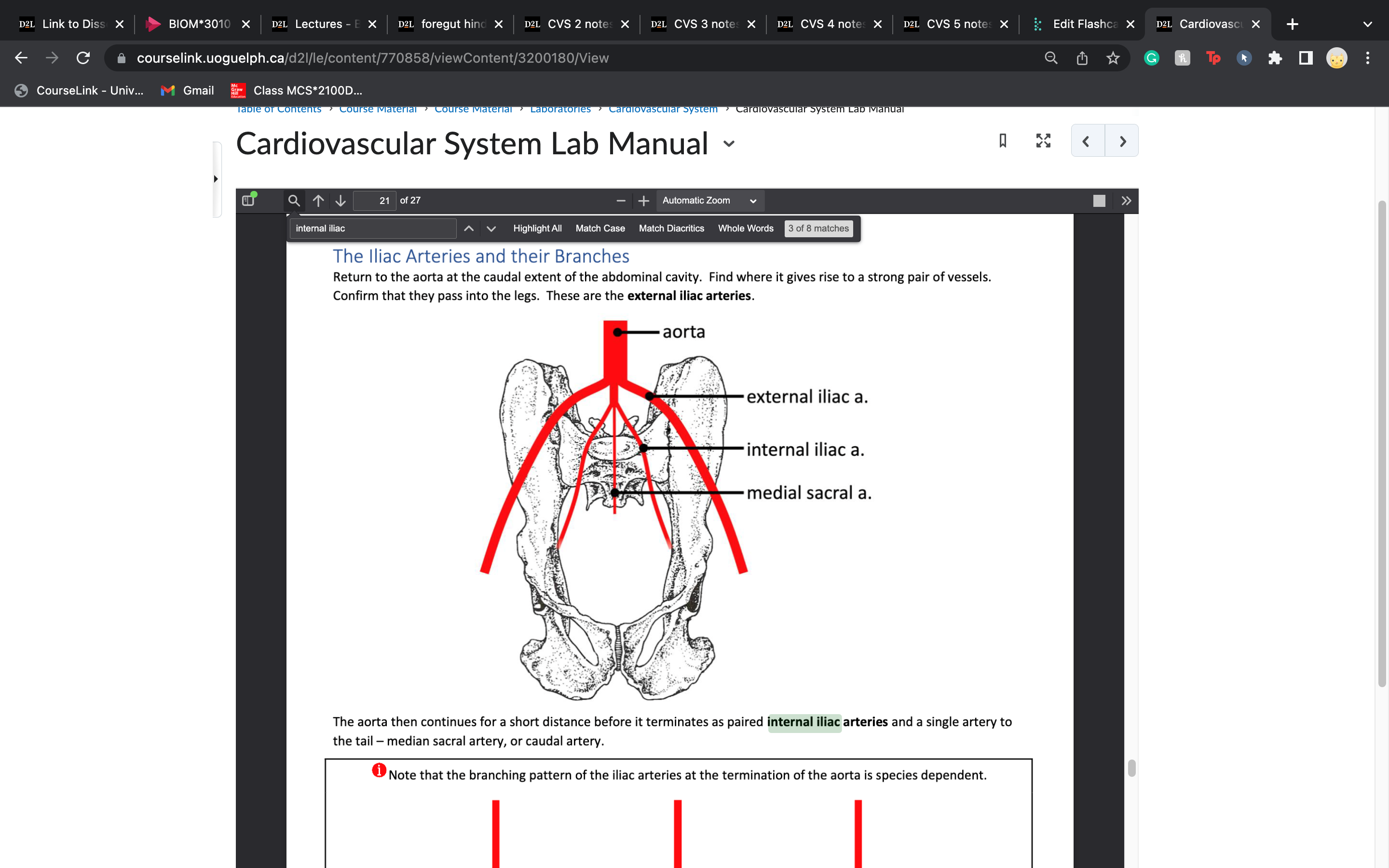 knowt flashcard image