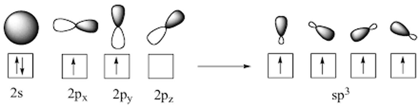 <p>One of the 2s orbital electrons jumps up to one of the 2p orbitals. The three 2p orbitals then hybridize with the single 2s orbital, forming four sp3 orbitals with a lone electron in each.</p>