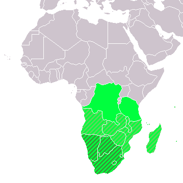 <p>What region is this?</p>