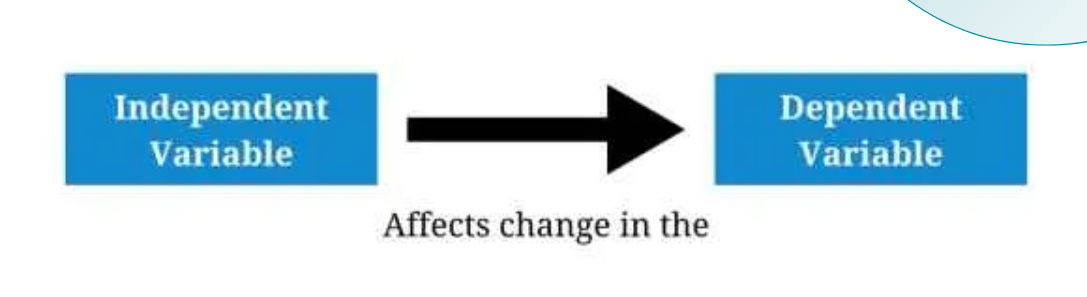 <p>Image shows?</p>