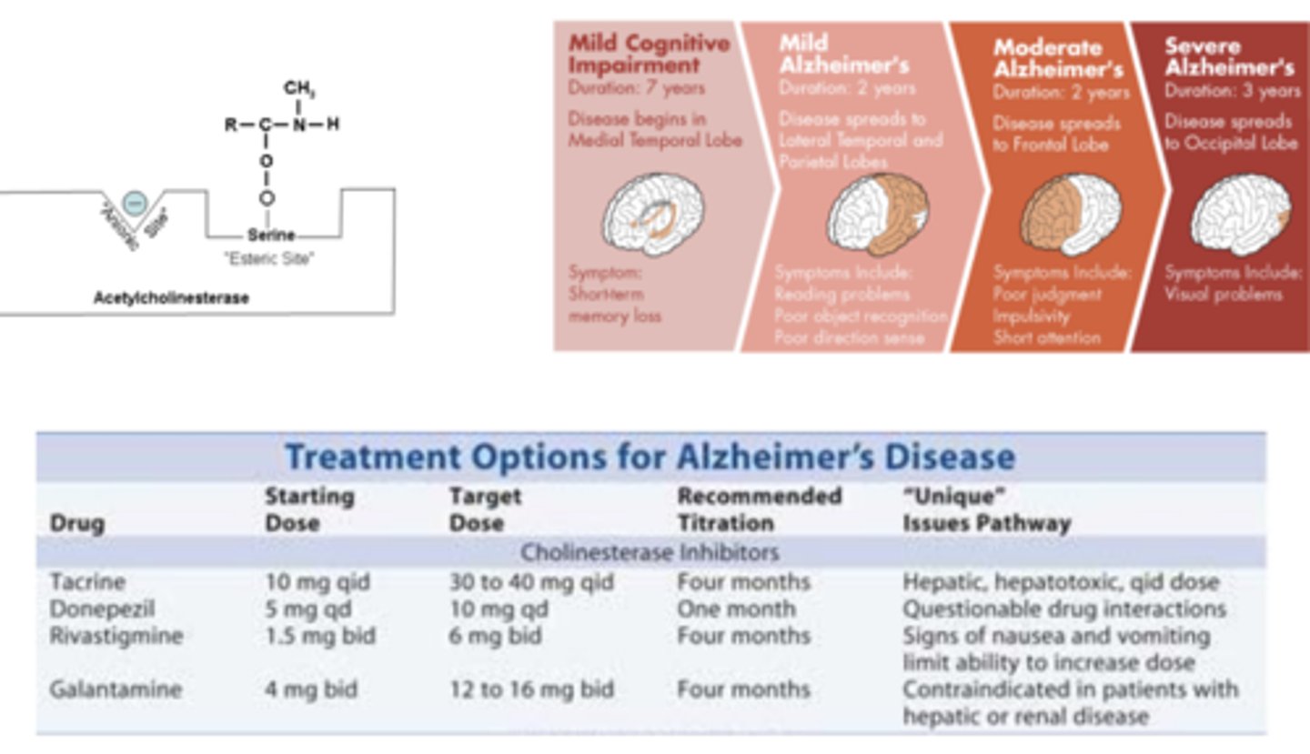 <p>- cognitive enhancers</p><p>- Good BBB penetration </p>