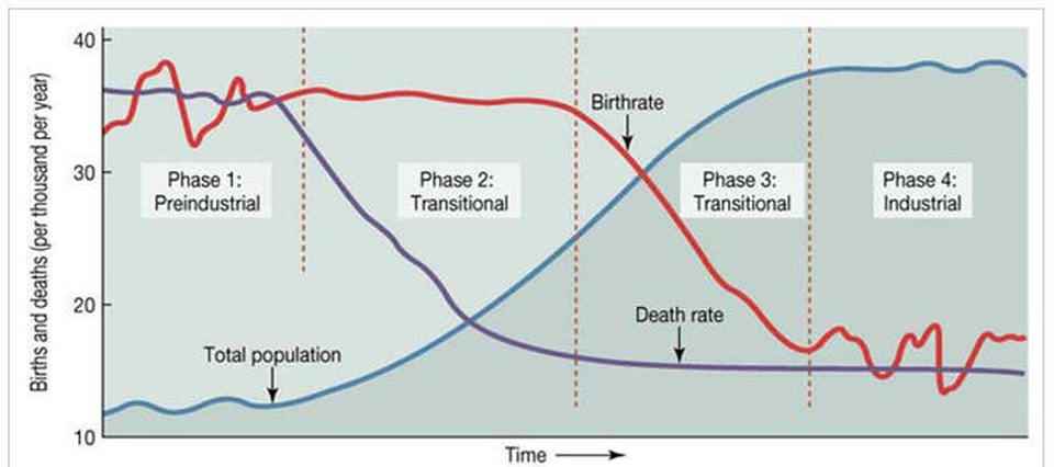 <p>Demographic Transition Model </p>