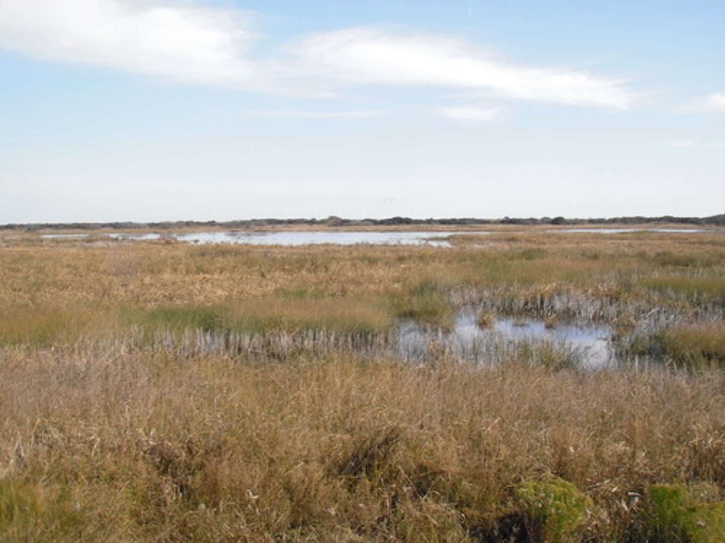 <p>It was a scheme adopted as the most cost effective scheme for this stretch of the coastline. It still costed £28 million. The land is low value farmland and caravan sites. It was previously protected by a seawall too costly to replace.</p>