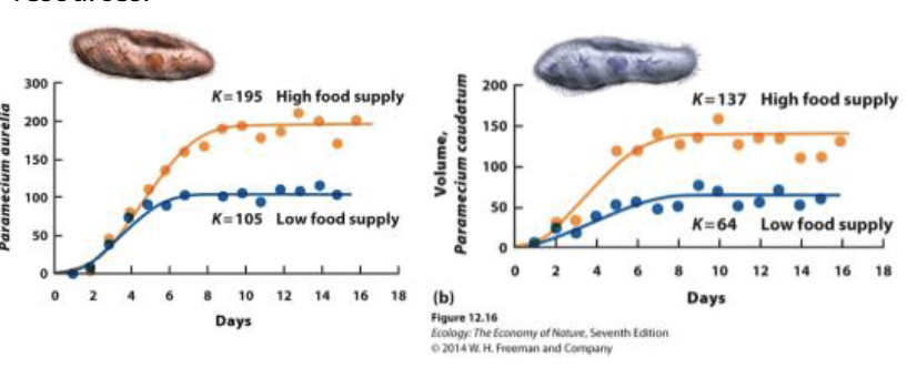 <p><span style="color: rgb(248, 248, 248);">Populations initially grew in size but eventually stabilized at</span><span style="color: rgb(248, 248, 248);"><br></span><span style="color: rgb(248, 248, 248);">different carrying capacities depending on the available</span><span style="color: rgb(248, 248, 248);"><br></span><span style="color: rgb(248, 248, 248);">resources.</span></p>