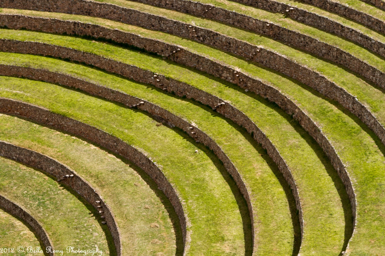 <p>Series of horizontal platforms on the steep mountain slopes (kind of like stairs).</p>
