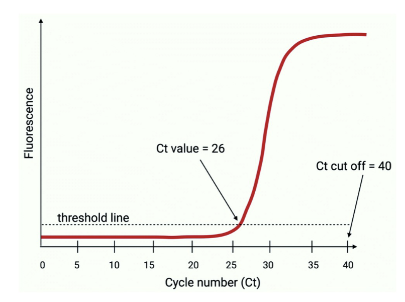 <ul><li><p>The number of reaction cycles it takes to reach that threshold</p></li></ul><p></p>