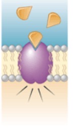 <p>What is this?</p>