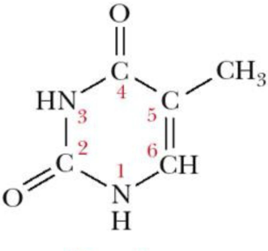 <p>what is this structure?</p>