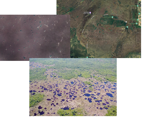 <p><span><span>Primarily herbaceous wetland in South Florida, occur in broad shallow channels or depressions over a substrate of peat or marl.</span></span></p><p><span><span>Woody vegetation is sparse and found only really found on “gator holes” or near edges of tree islands.</span></span></p><p><span><span>Soil is peat or marl.</span></span></p><p><span><span>Hydroperiod normally 6 months or more.</span></span></p>