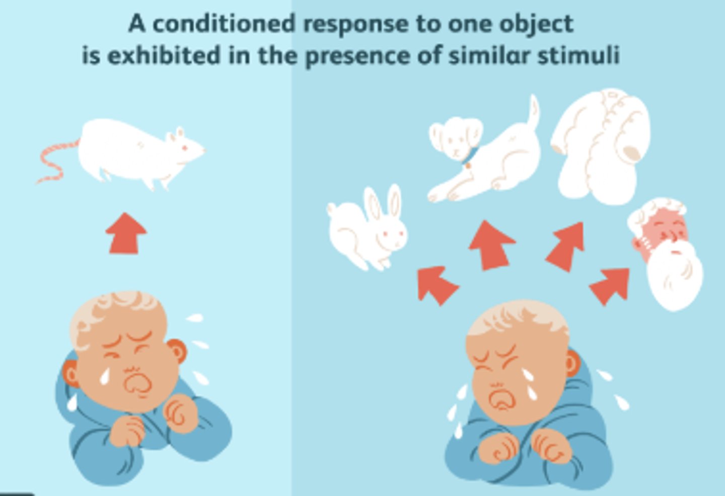 <p>(also called stimulus generalization) in classical conditioning, the tendency, once a response has been conditioned, for stimuli similar to the conditioned stimulus to elicit similar responses. (In operant conditioning, when responses learned in one situation occur in other, similar situations.)</p>