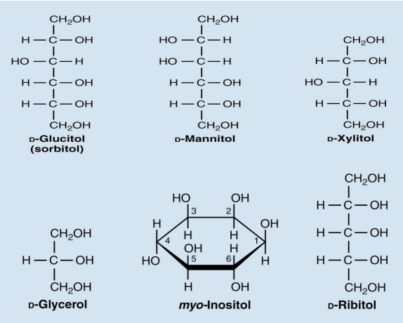 <ul><li><p><span>Sugar alcohols such as sorbitol, mannitol, and xylitol sweeten many “sugarless” gums and candies</span></p></li></ul><p></p>