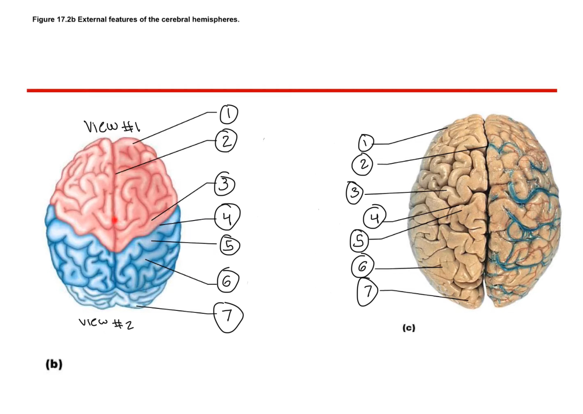<p>Name 6</p>