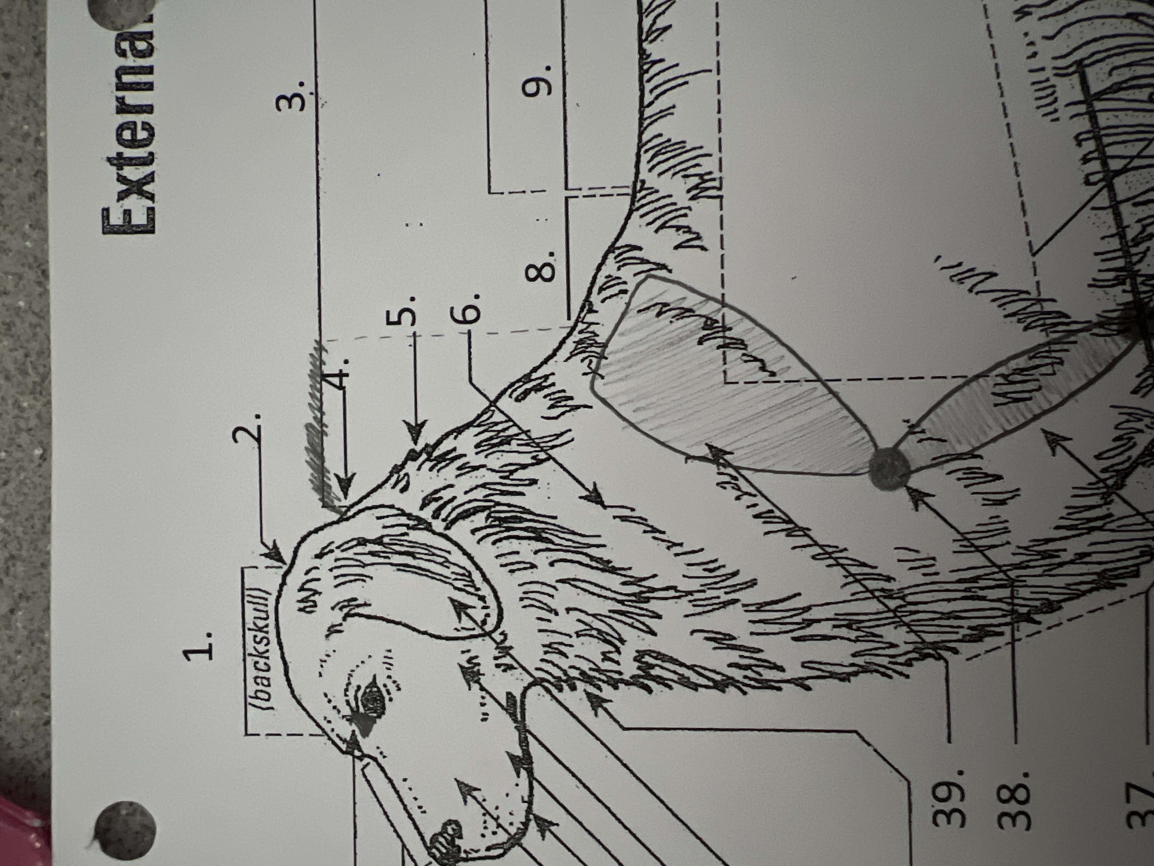 
8. \
