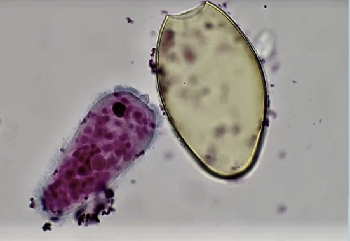 <p>What is this, what does it do</p>