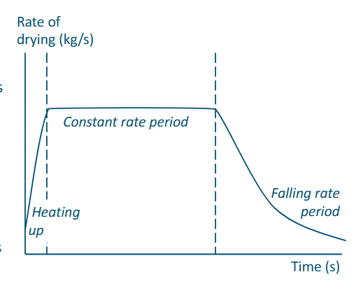 <p>Two periods:</p><ul><li><p>Constant rate period</p><ul><li><p>Particle is still very wet</p></li><li><p>Evaporation of moisture is externally limiting</p></li><li><p>Temperature low</p></li><li><p><span><span>The ratio of heat transfer to mass transfer is constan</span></span></p></li></ul></li><li><p>Falling rate period</p><ul><li><p>Particle is getting dry at the surface</p></li><li><p>Diffusion inside product is limiting</p></li><li><p>Temperature higher</p></li></ul></li></ul><p></p>