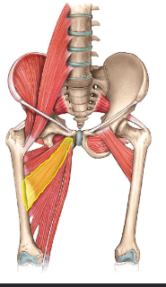 <p>What is this?</p>