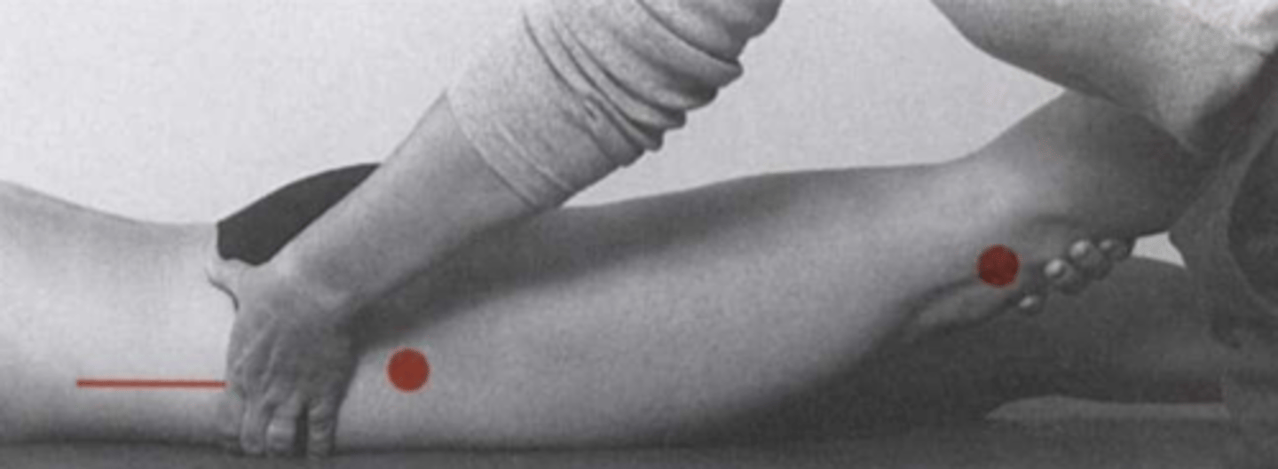 <p>prone</p><p>stationary arm: midline of pelvis</p><p>fulcrum: greater trochanter</p><p>moving arm: lateral epicondyle </p>