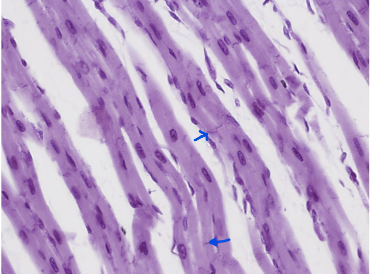 <p>What is this?</p>